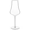 Luigi Bormioli 12500/01 Tentazioni 14.25 Oz. Champagne Flute - 12/Pack
