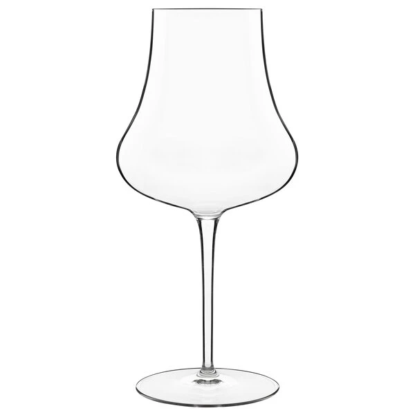 Luigi Bormioli 12505/01 Tentazioni 22 Oz. Orange Wine Glass - 12/Pack